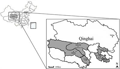 Ehrlichia chaffeensis and Four Anaplasma Species With Veterinary and Public Health Significance Identified in Tibetan Sheep (Ovis aries) and Yaks (Bos grunniens) in Qinghai, China